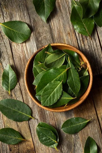 Bay Leaf