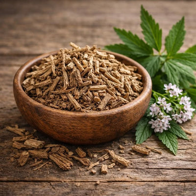 Gentian Root