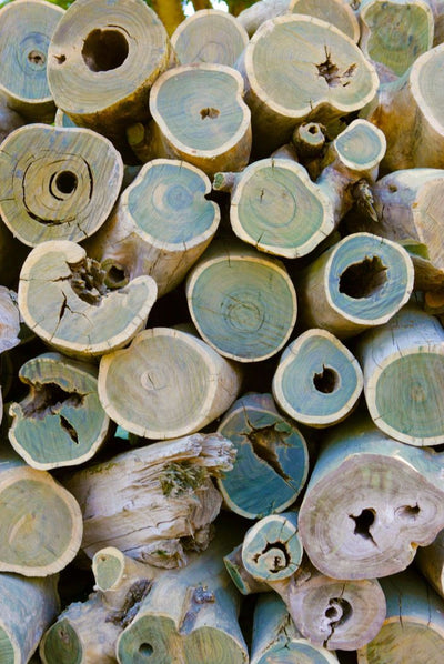 Guaiac Wood