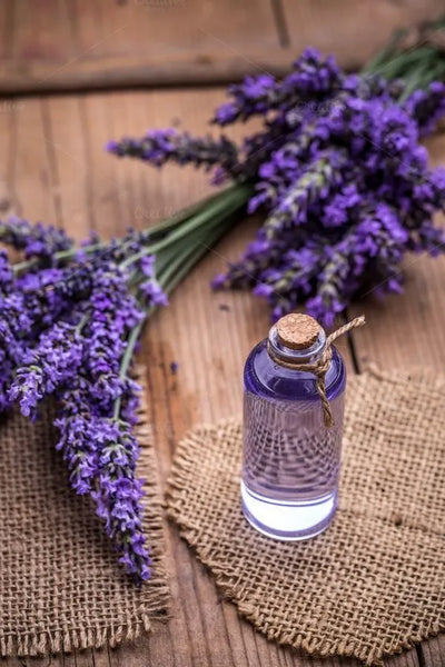 Lavender